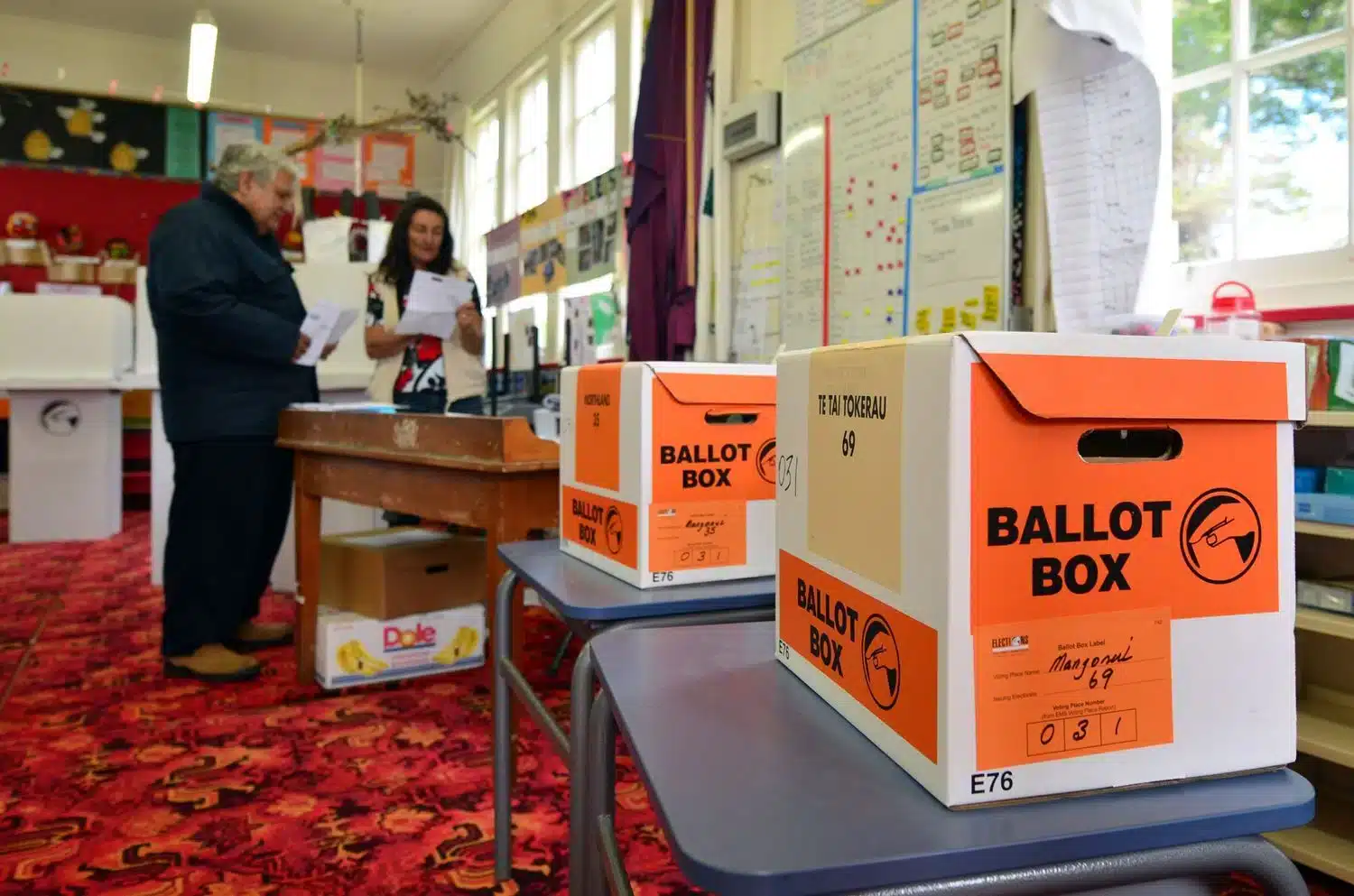 Empowering Young Voters with Civics Education